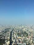 B6351199-00E3-487C-9383-2547BBE38CFC.jpg